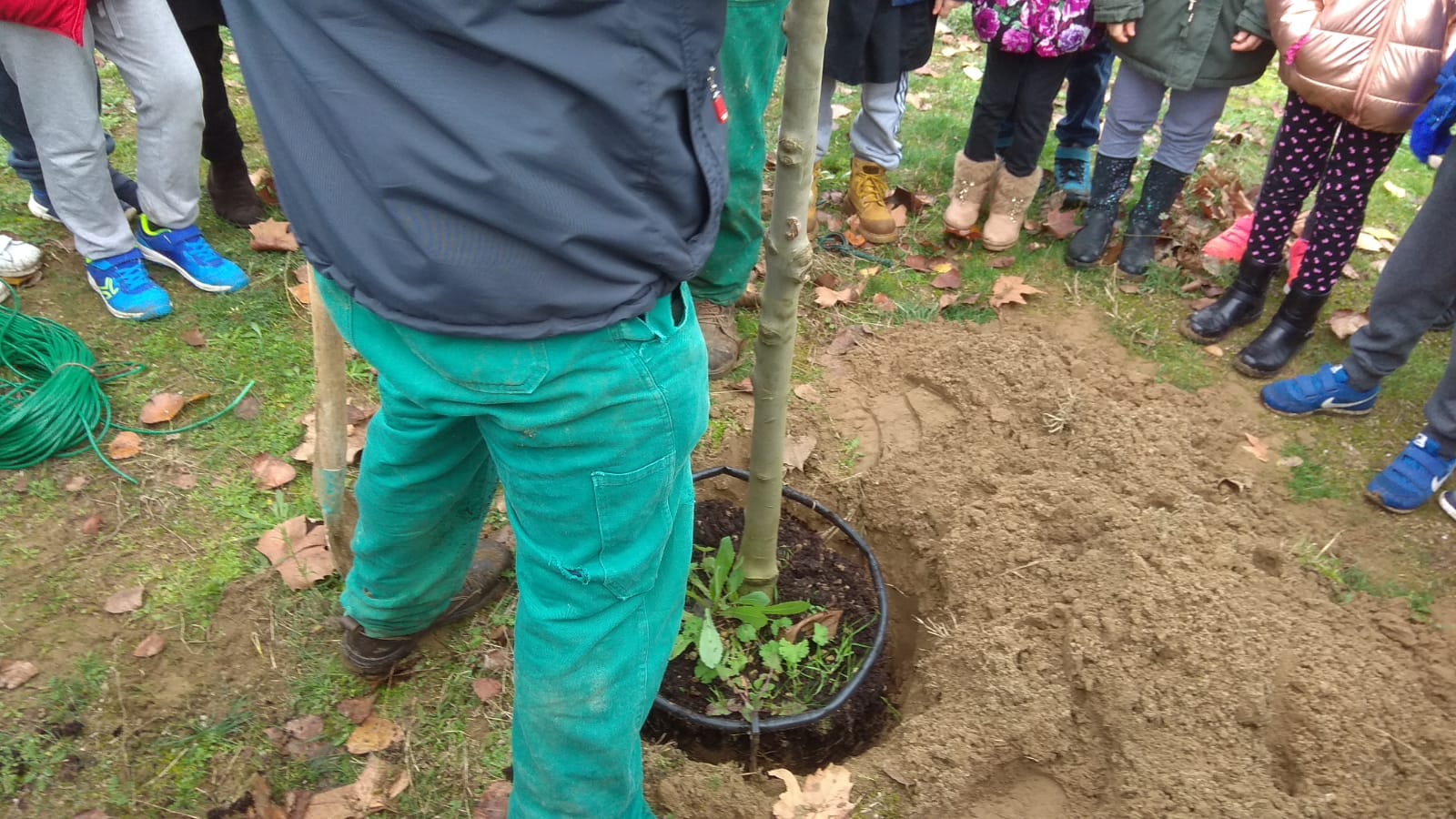 Giornata nazionale degli alberi 2018 foto 