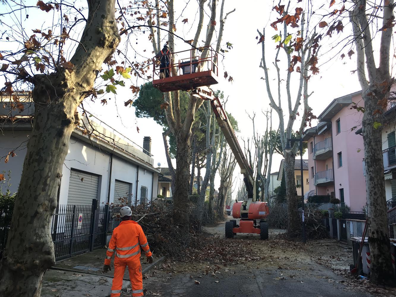 In arrivo un maxi intervento sul verde pubblico