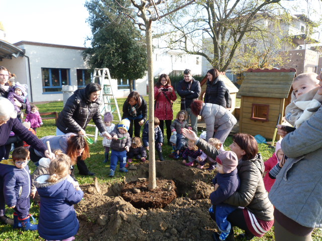 GIORNATA DELL’ALBERO 2017: NUOVE PIANTE PER L’ASILO PICCOLO MARE